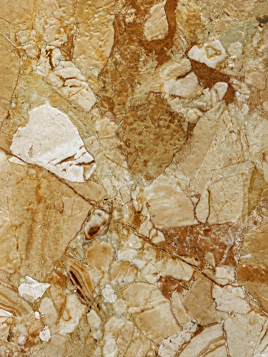 Warm gold stone with organic mineral movement