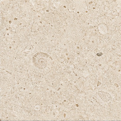 Warm cream limestone with subtle fossil details